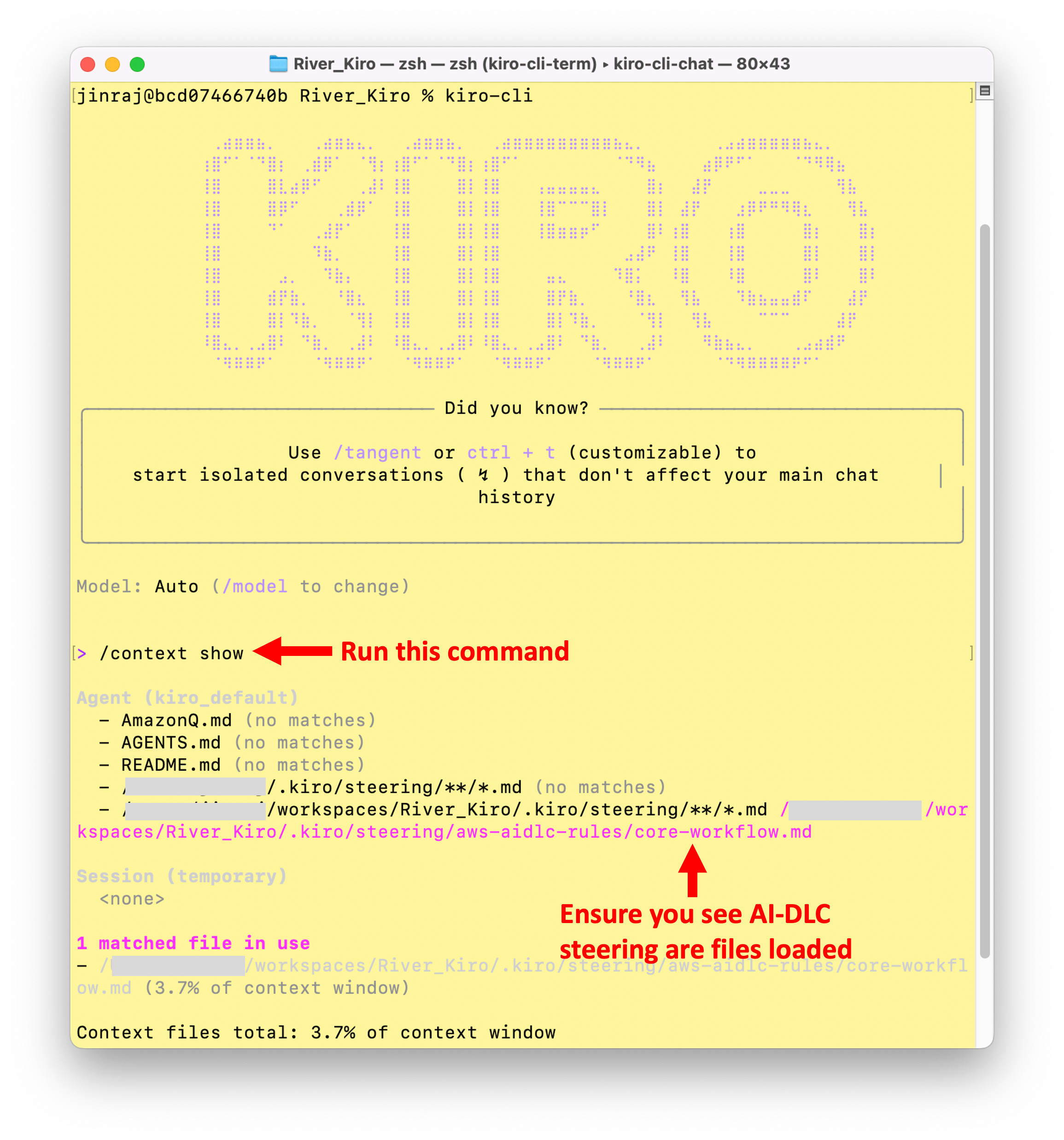 aidlc-workflows screenshot 3
