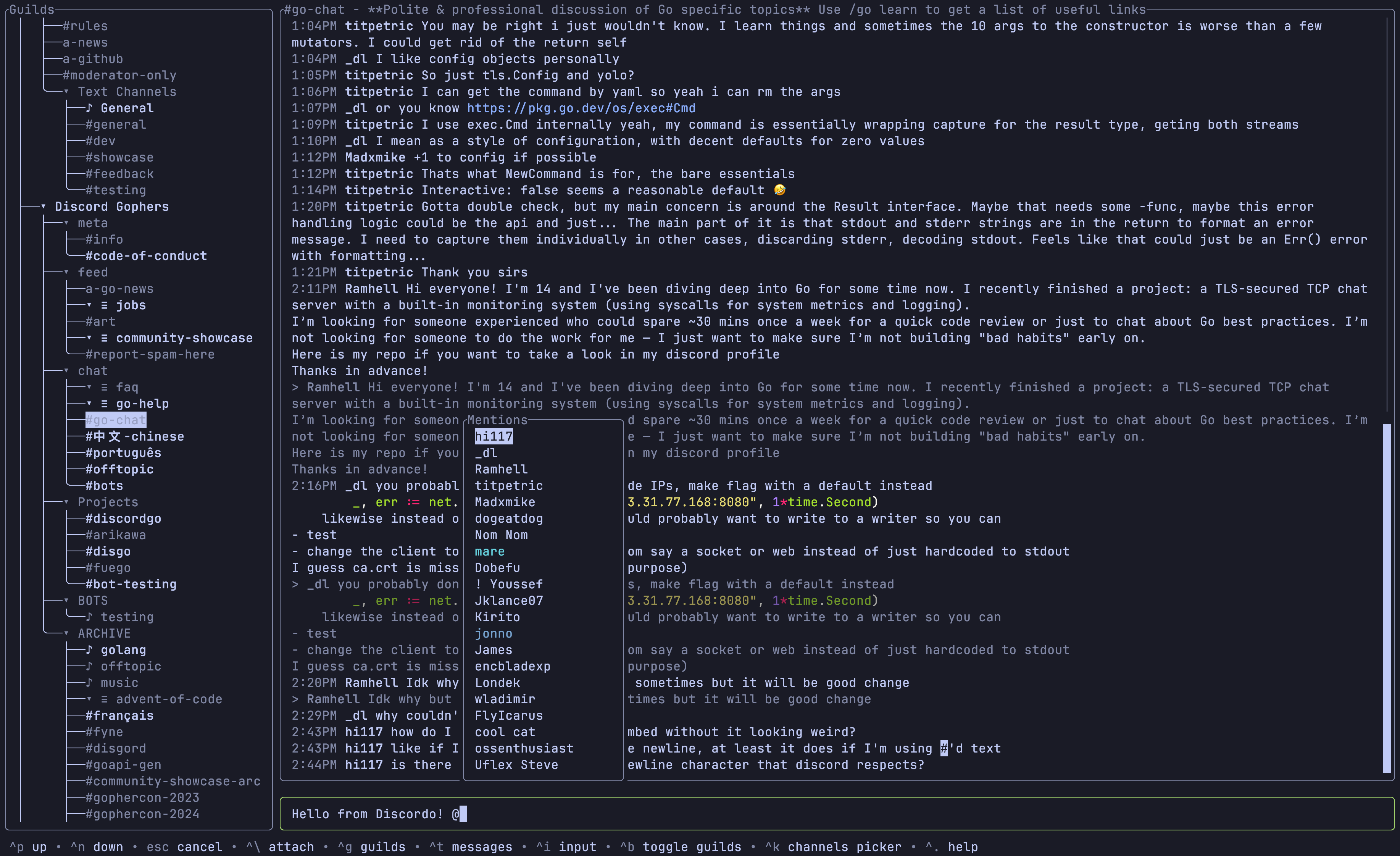 discordo screenshot 1
