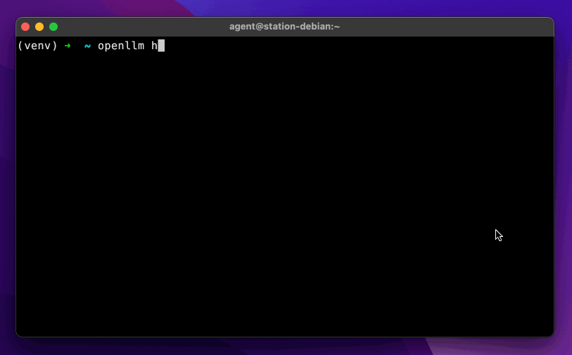 OpenLLM screenshot 1