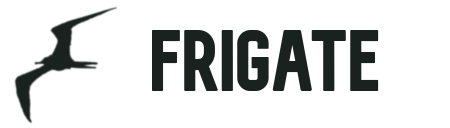 frigate screenshot 1