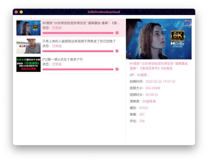 BilibiliVideoDownload screenshot 2