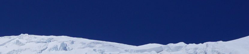 indigo screenshot 1