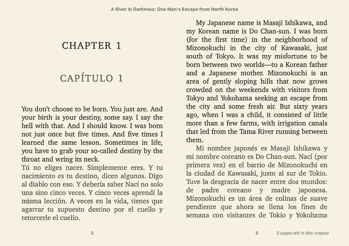 Ebook-Translator-Calibre-Plugin screenshot 1