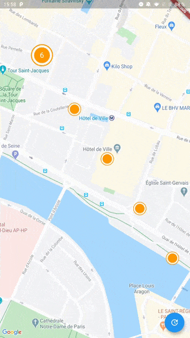 google_maps_cluster_manager screenshot 1