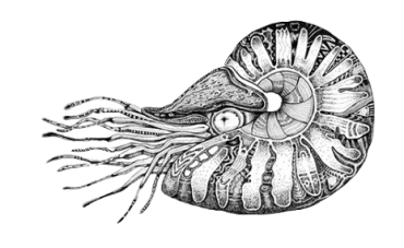 nautilus_trader screenshot 2