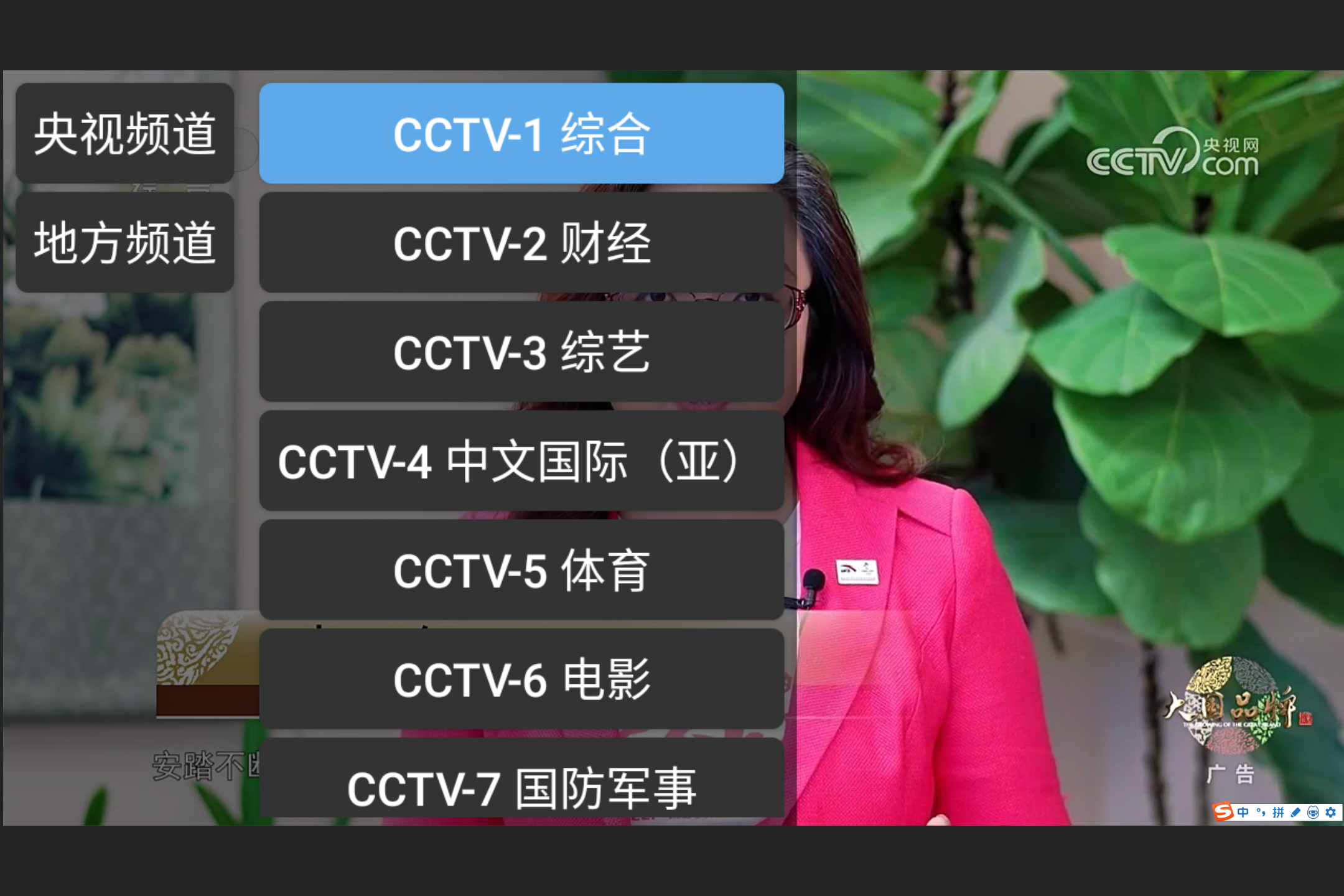 CCTV_Viewer screenshot 1