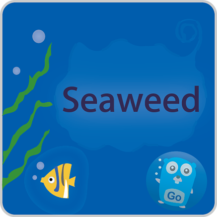 seaweedfs screenshot 2