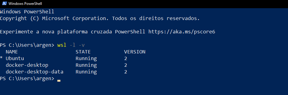 wsl2-docker-quickstart screenshot 11