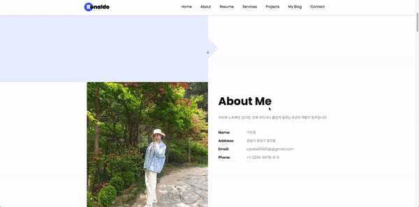 web-porfolio screenshot 1