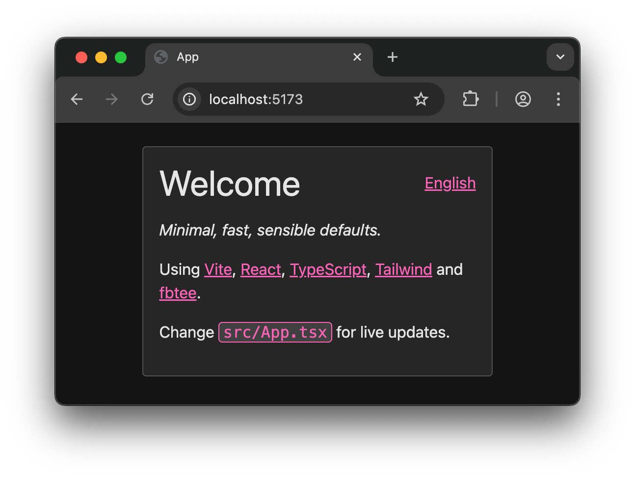 vite-ts-react-tailwind-template screenshot 2
