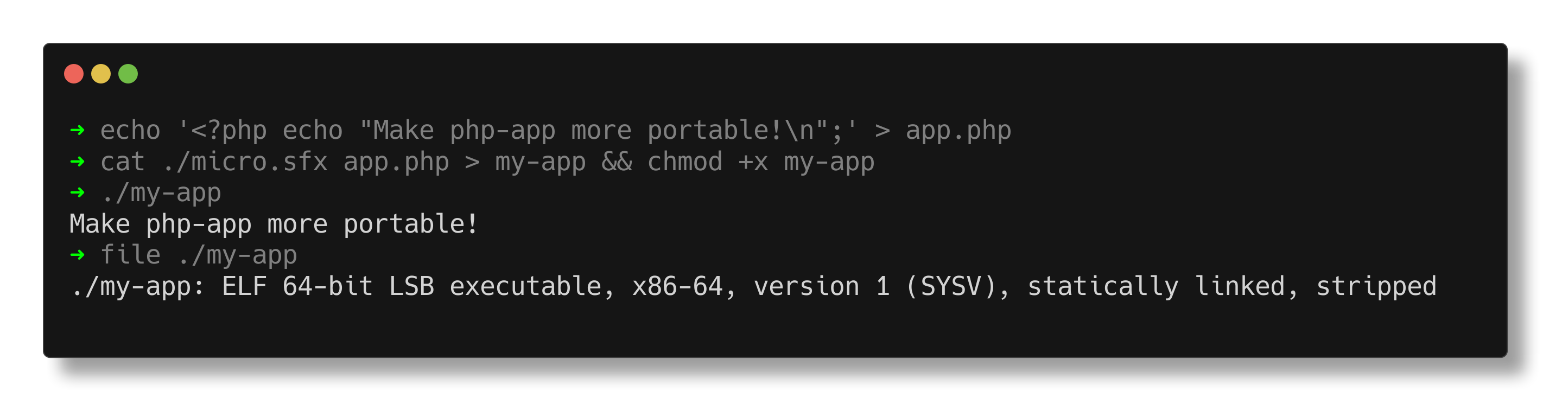 static-php-cli screenshot 2