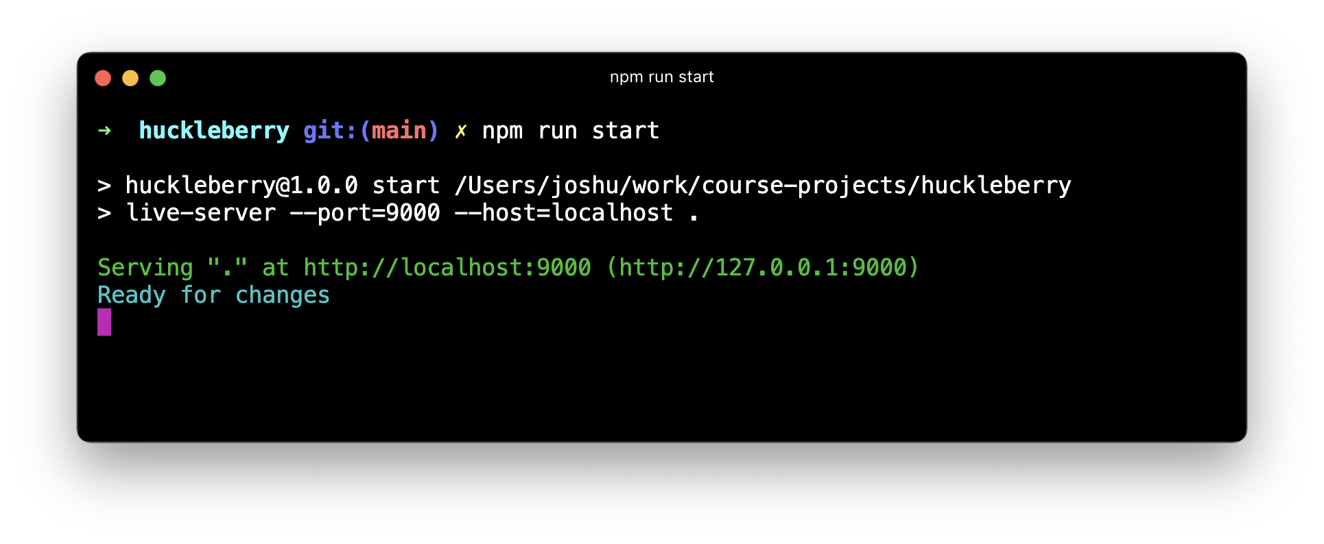 huckleberry screenshot 2