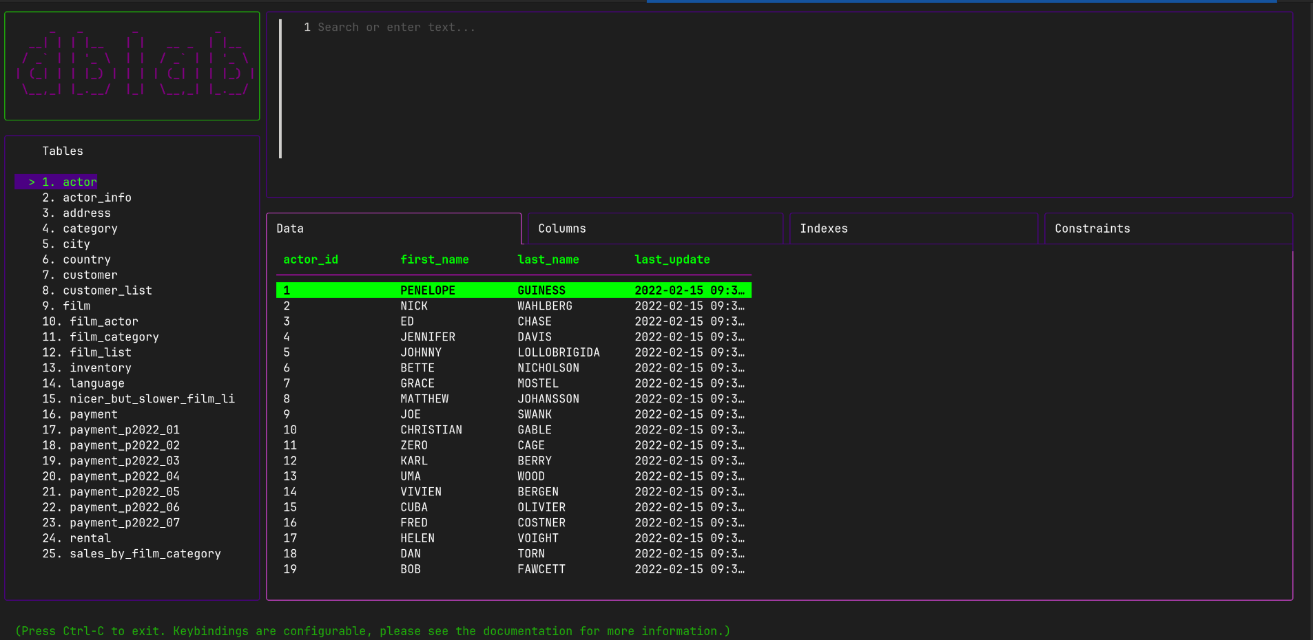 dblab screenshot 2