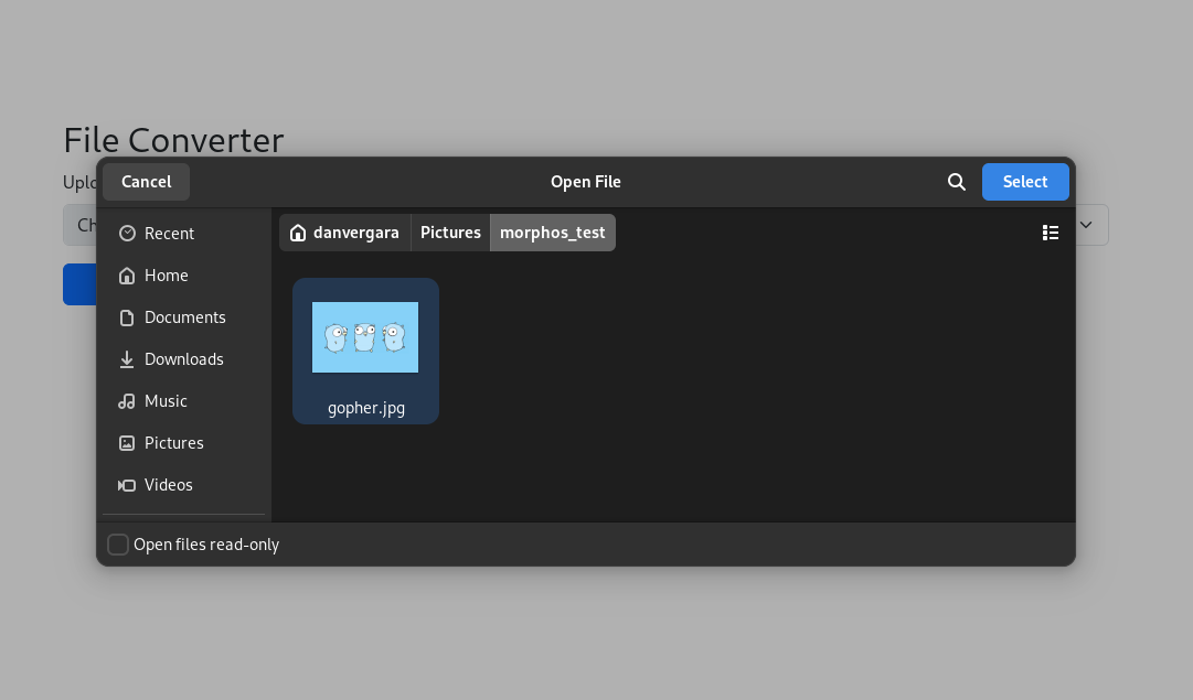 morphos screenshot 3