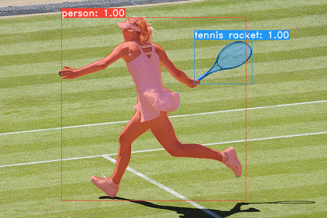 yolact screenshot 3
