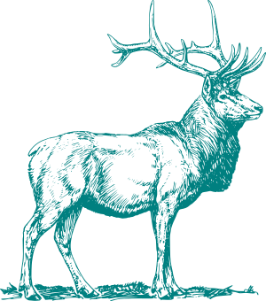 tealdeer screenshot 1