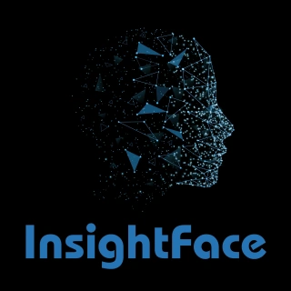 insightface screenshot 1