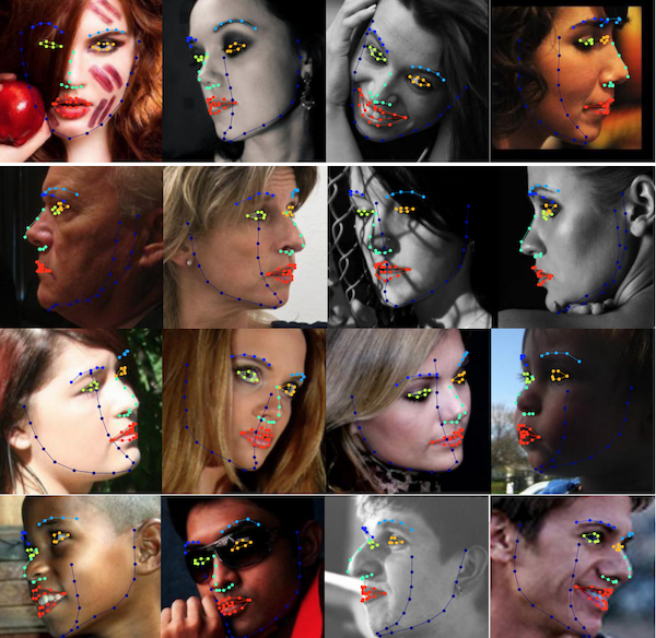 insightface screenshot 3