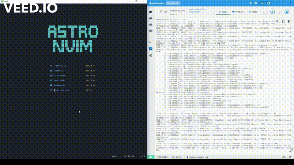 nvim-docker screenshot 1