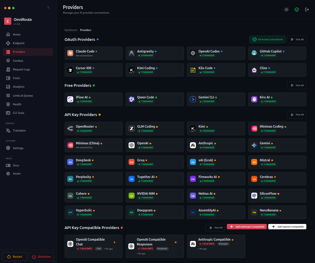 OmniRoute screenshot 1