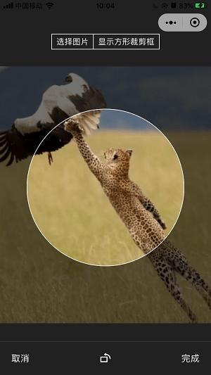 ThorUI-uniapp screenshot 47
