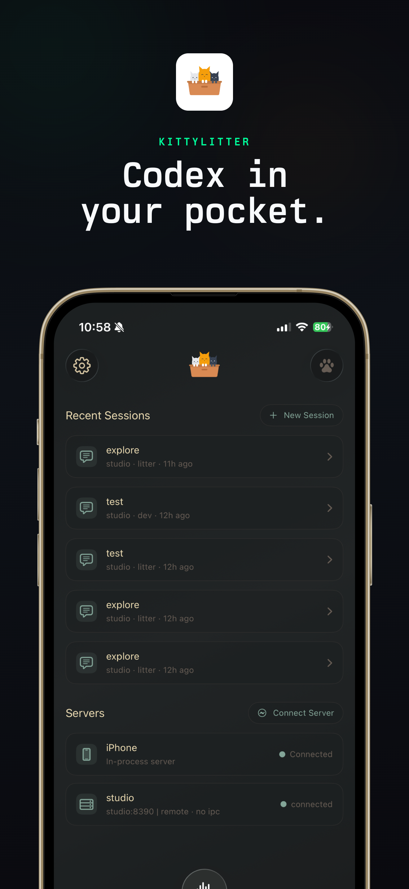 litter screenshot 1