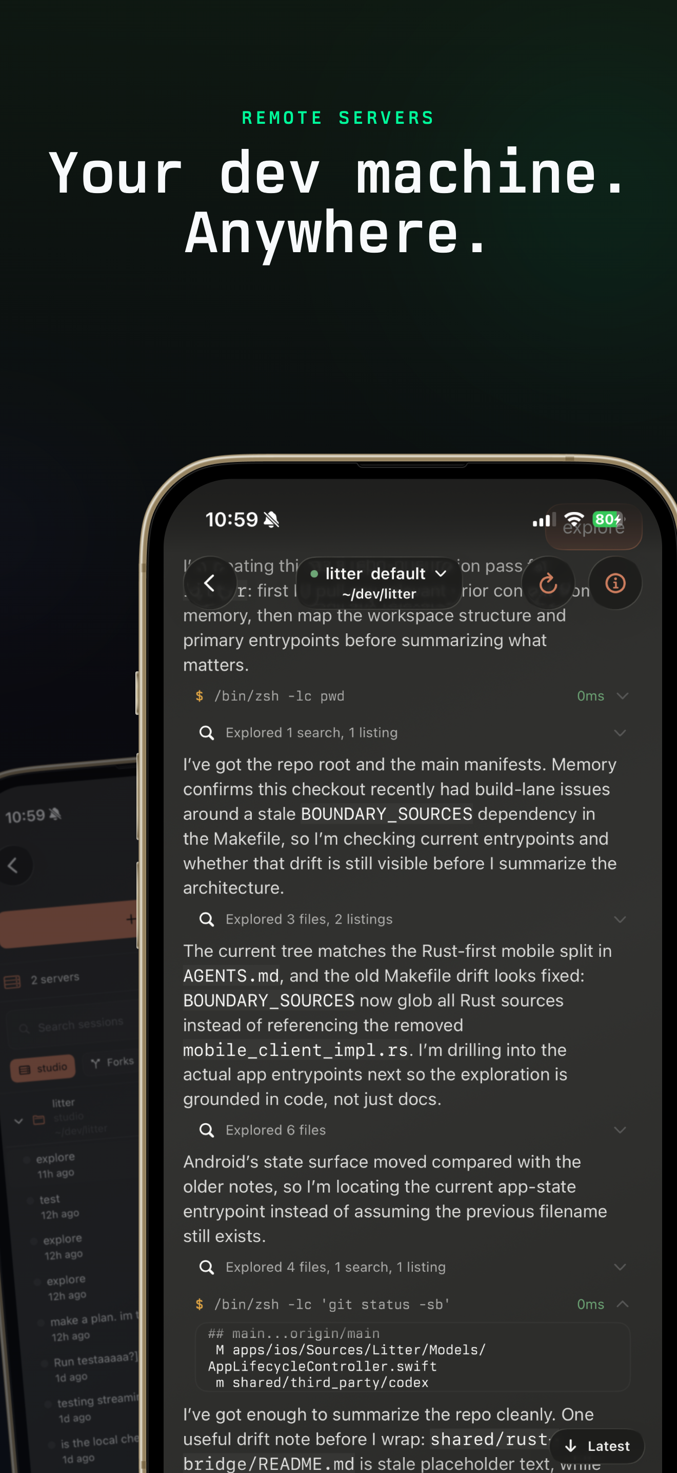 litter screenshot 2