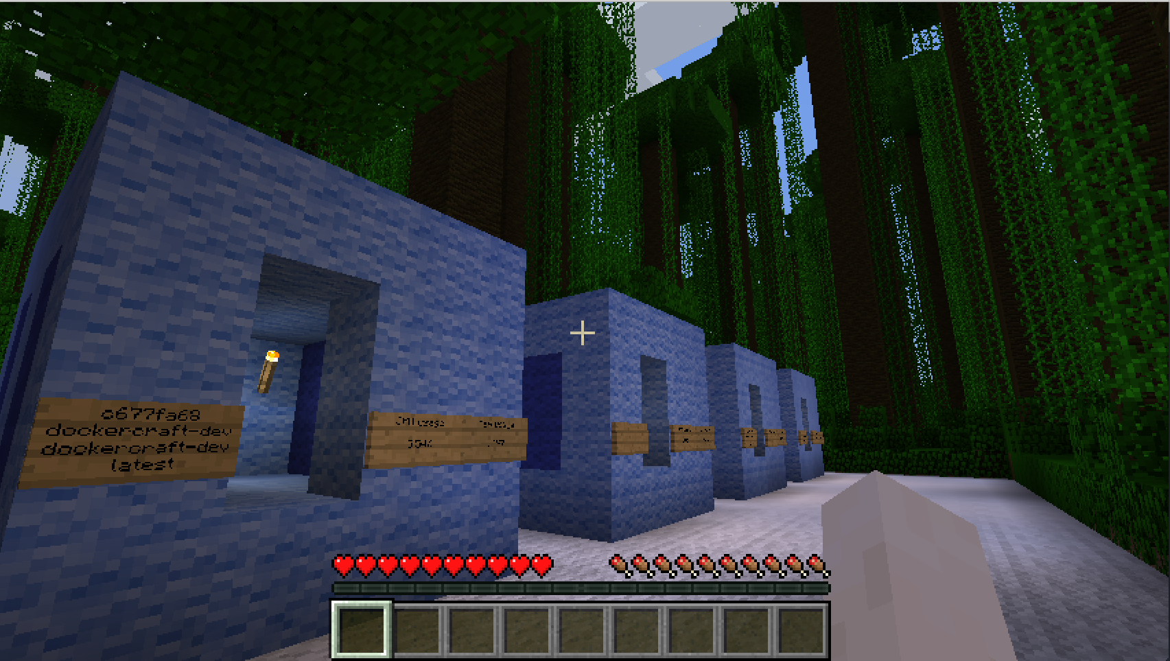 dockercraft screenshot 6
