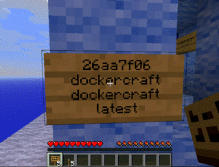 dockercraft screenshot 1