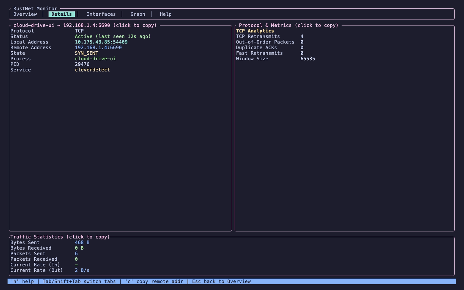 rustnet screenshot 3