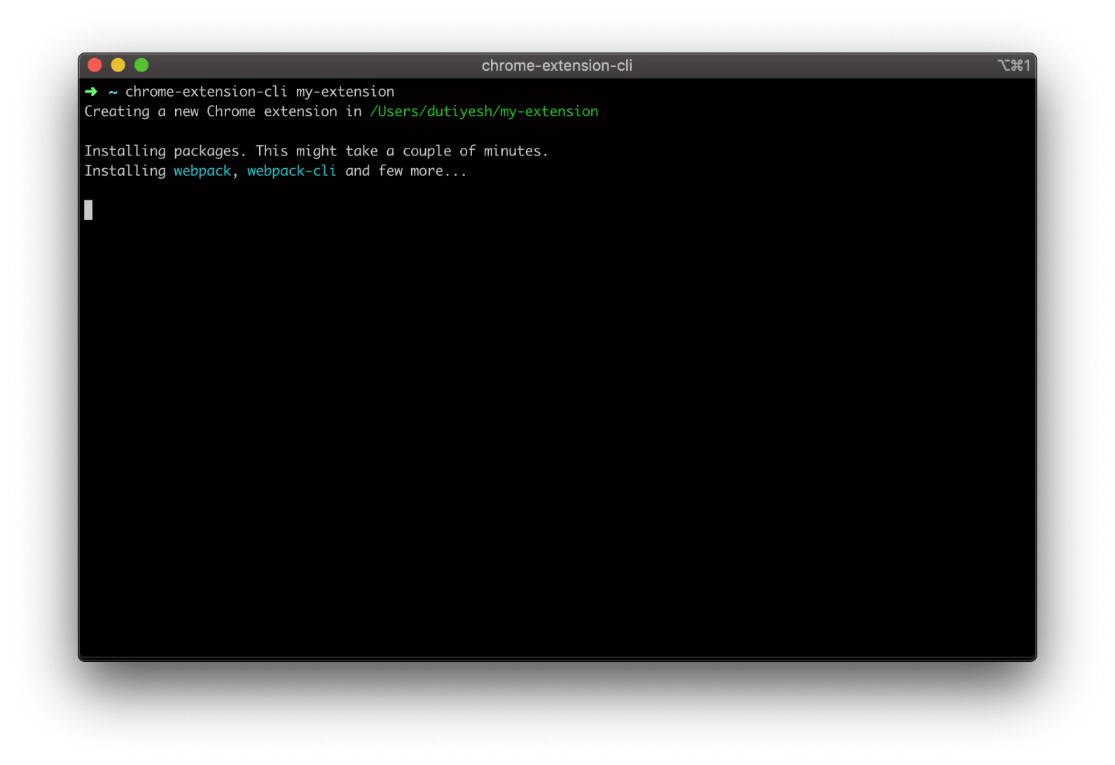 chrome-extension-cli screenshot 1