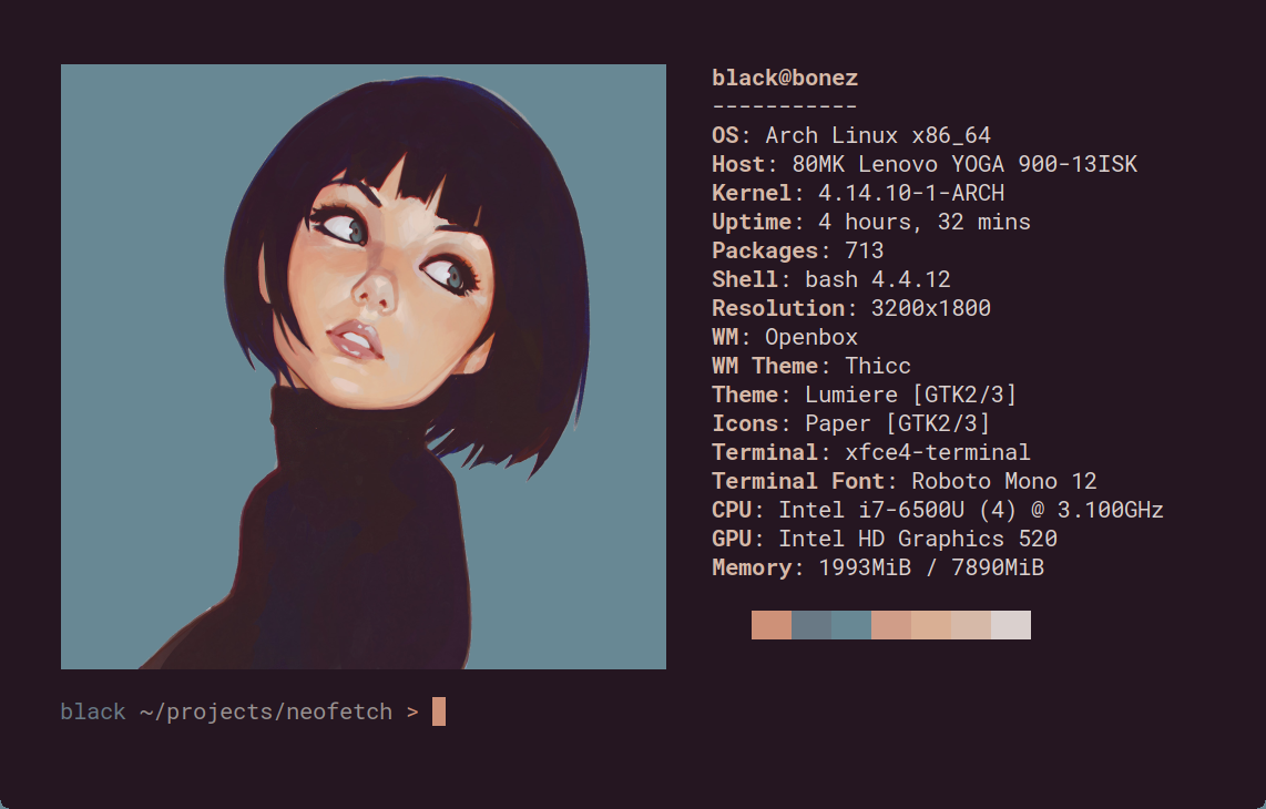 neofetch screenshot 2
