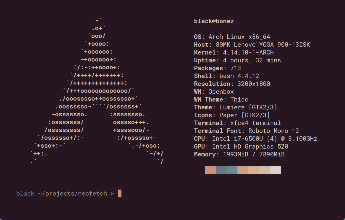 neofetch screenshot 3