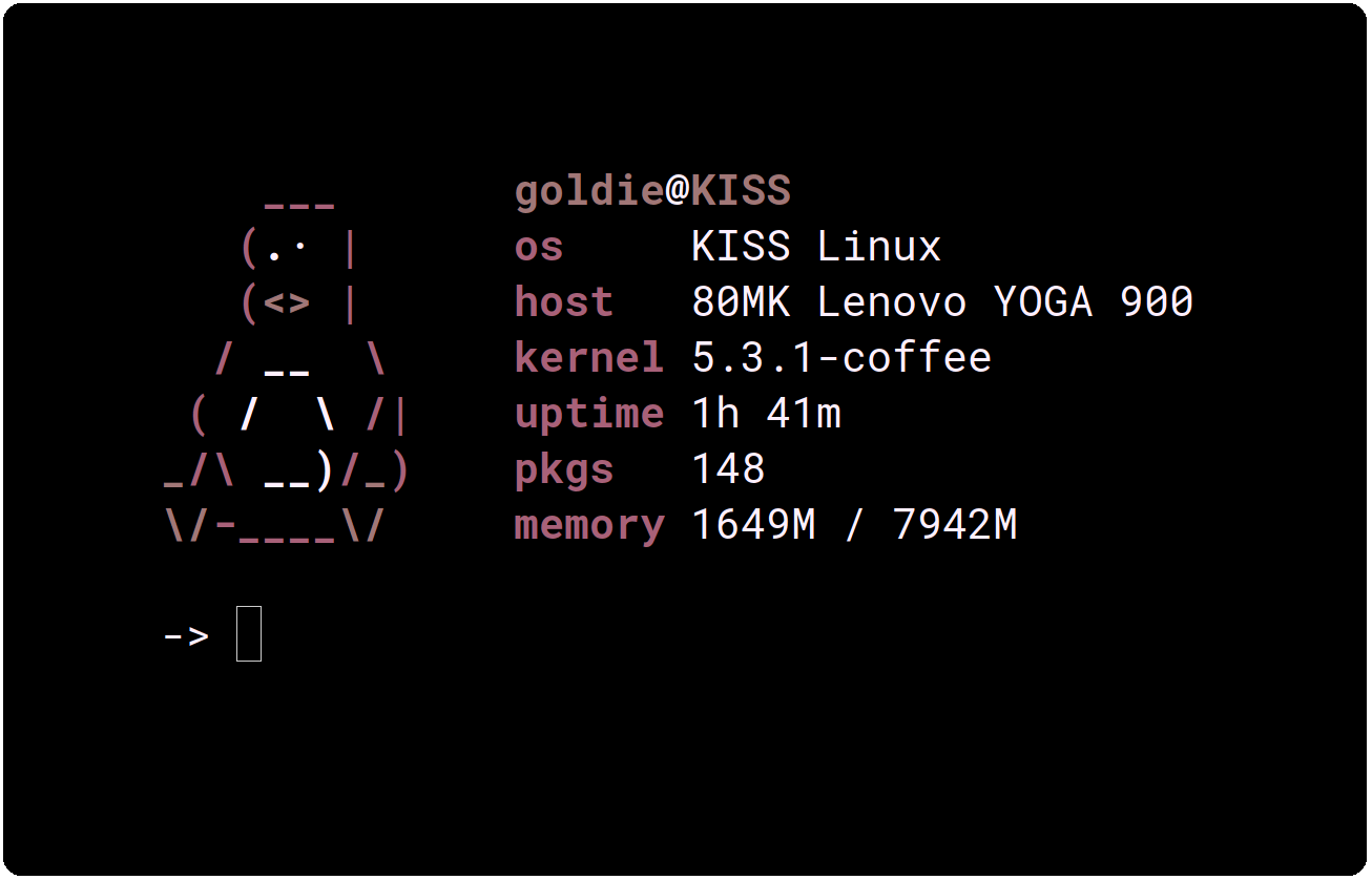 pfetch screenshot 1
