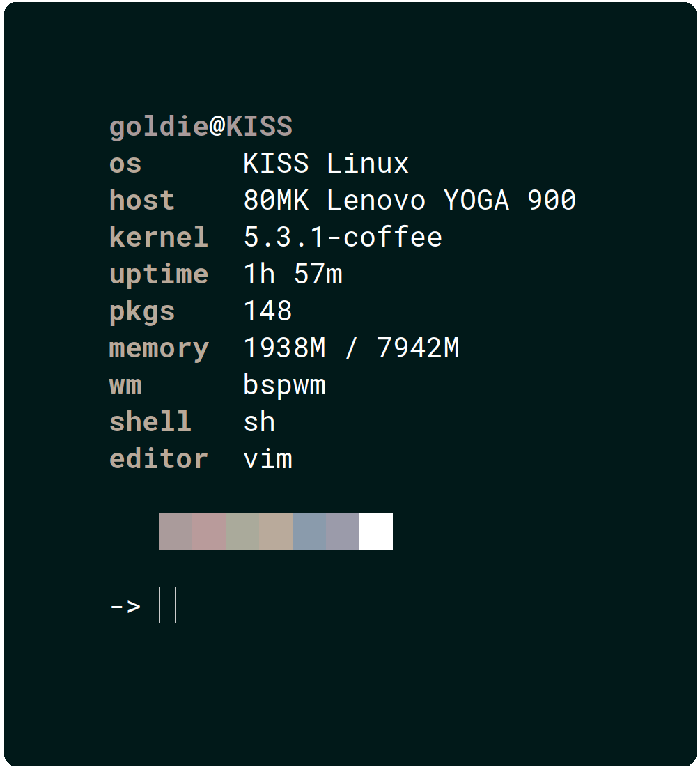 pfetch screenshot 2