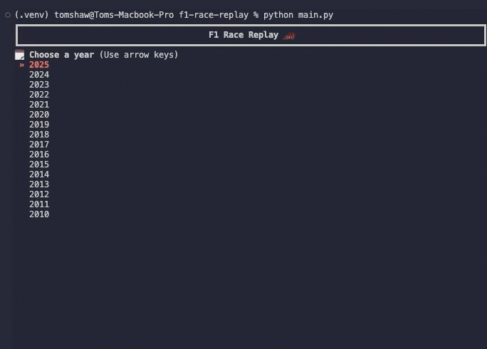 f1-race-replay screenshot 3