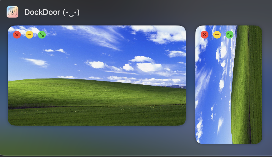 DockDoor screenshot 6