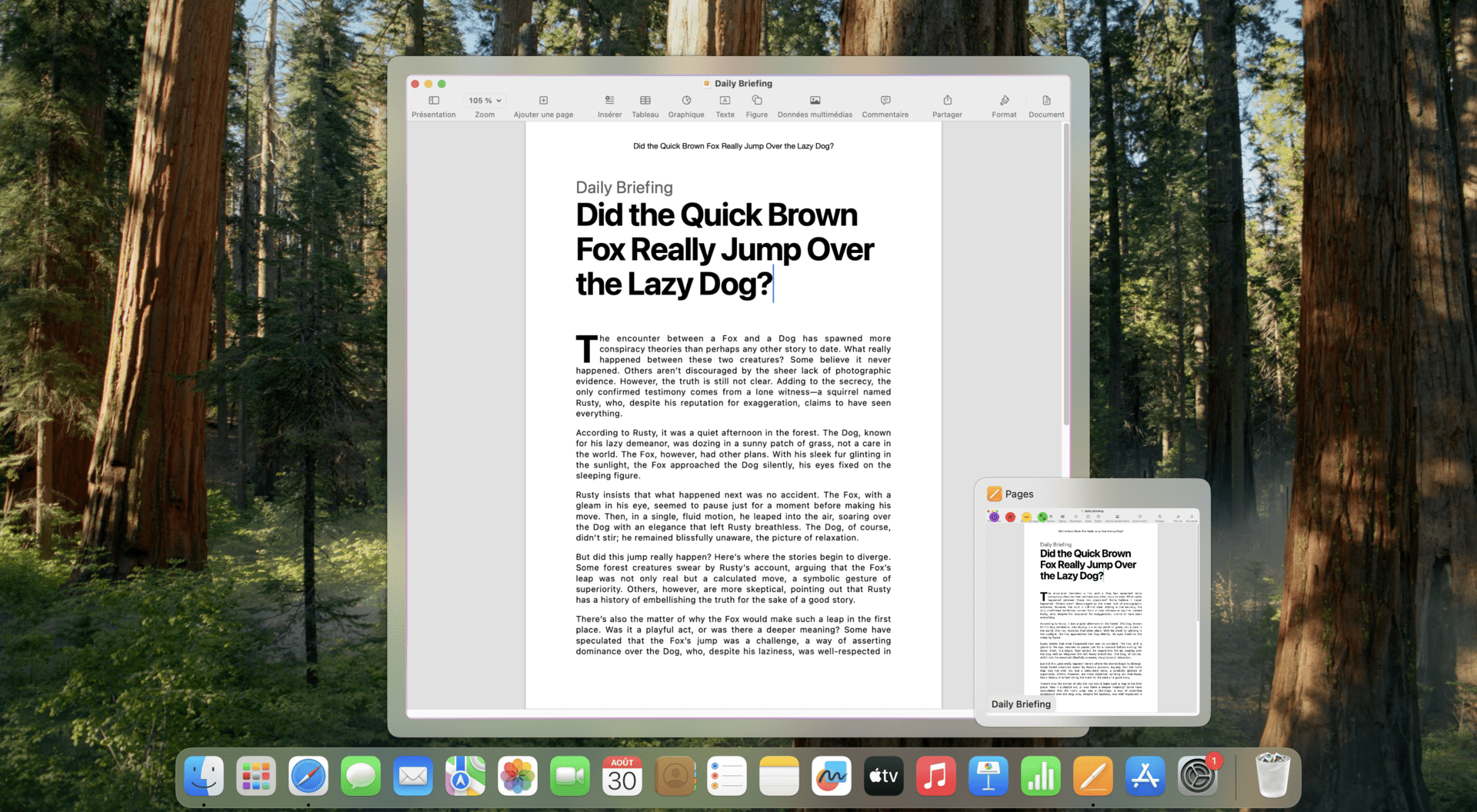DockDoor screenshot 11