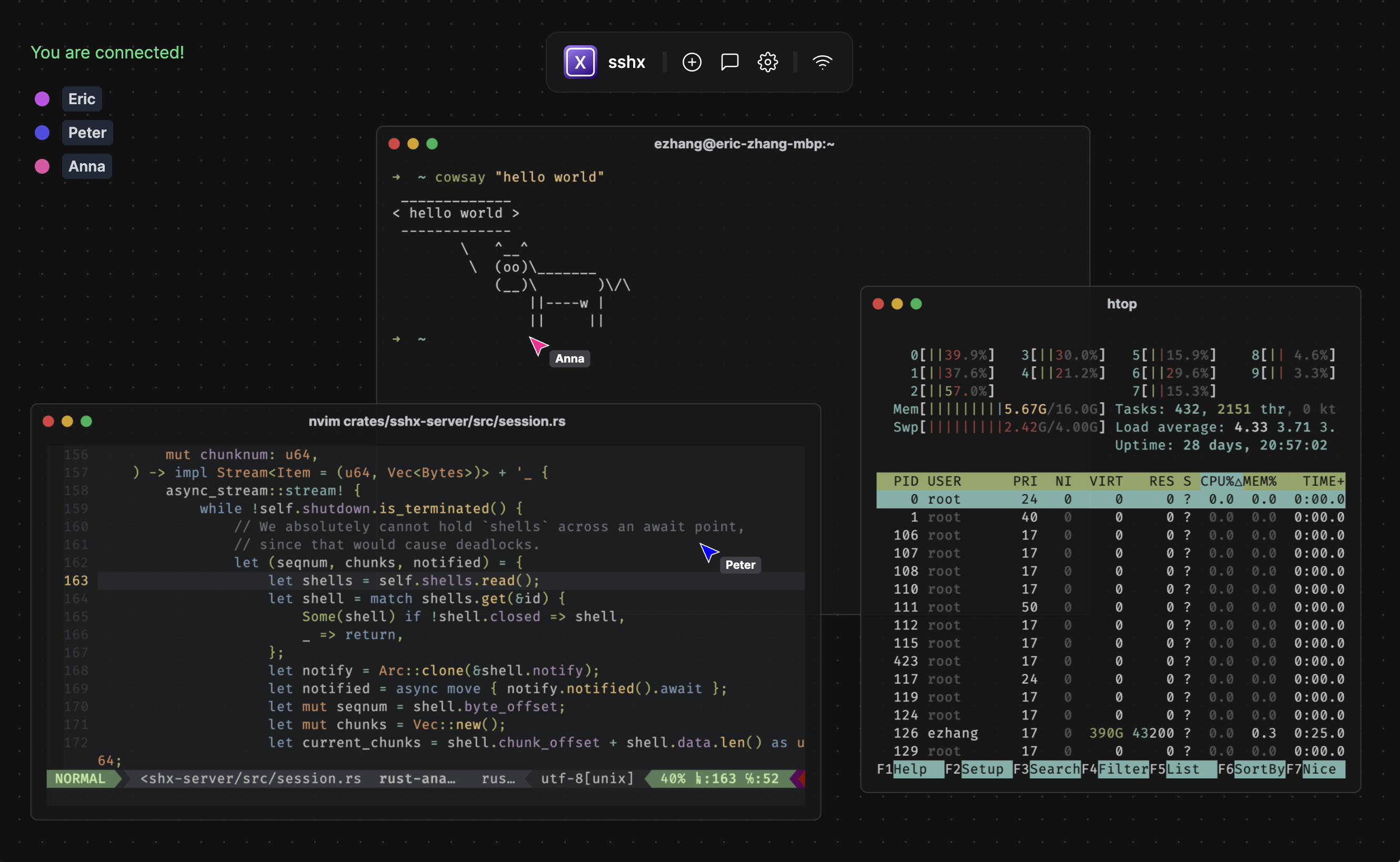 sshx screenshot 1