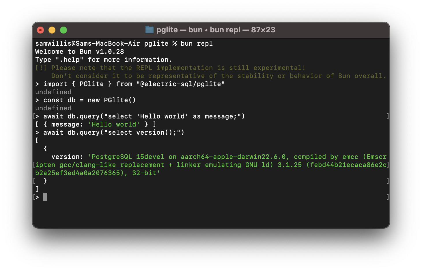 pglite screenshot 1