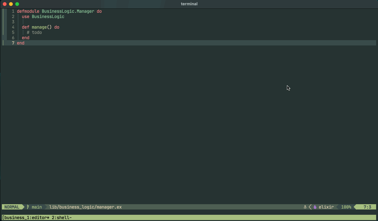 elixir-tools.nvim screenshot 4