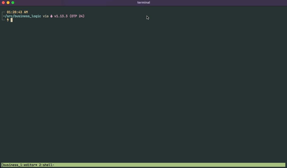 elixir-tools.nvim screenshot 1