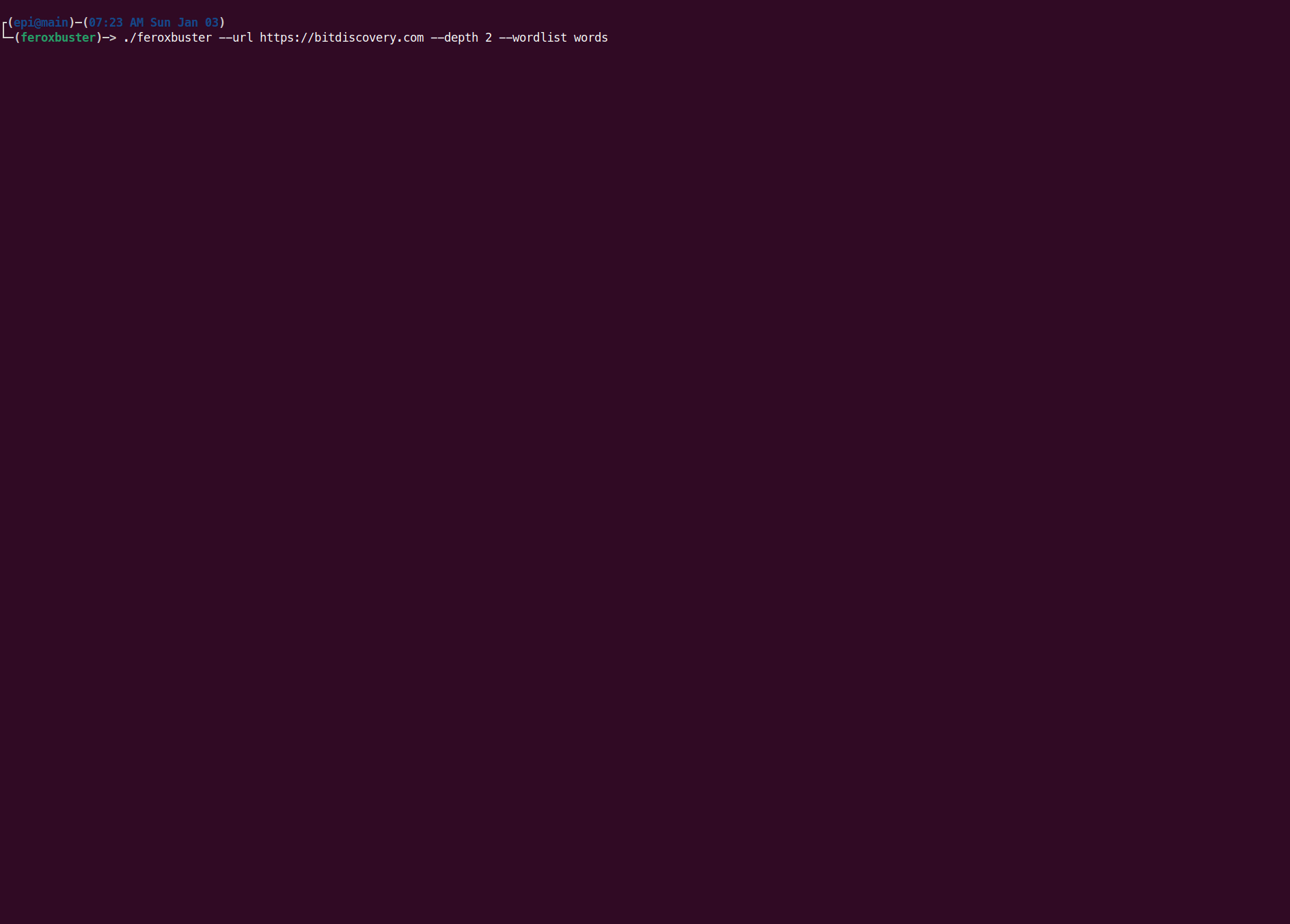 feroxbuster screenshot 1
