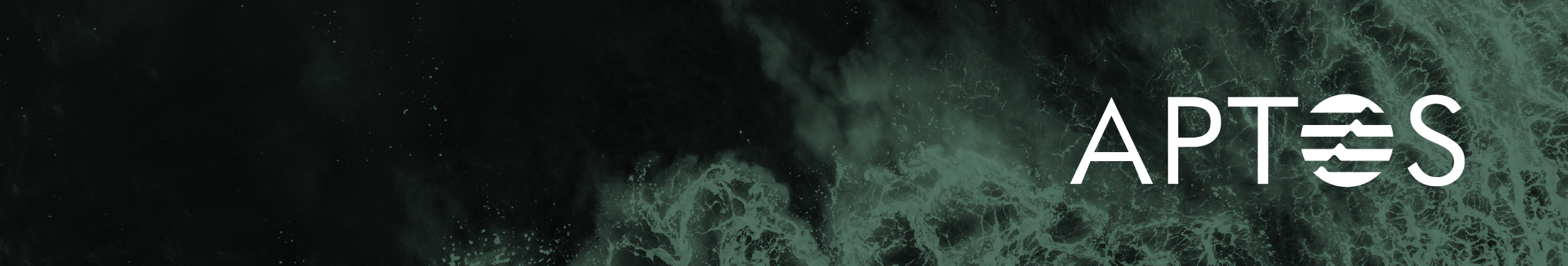 aptos-core screenshot 1