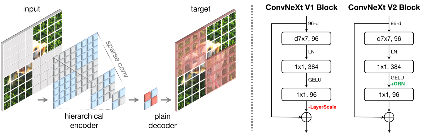 ConvNeXt-V2 screenshot 1