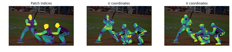 DensePose screenshot 2