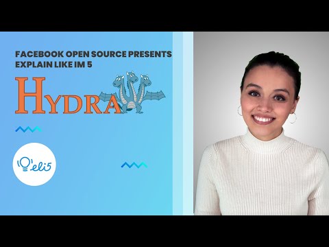 hydra screenshot 2