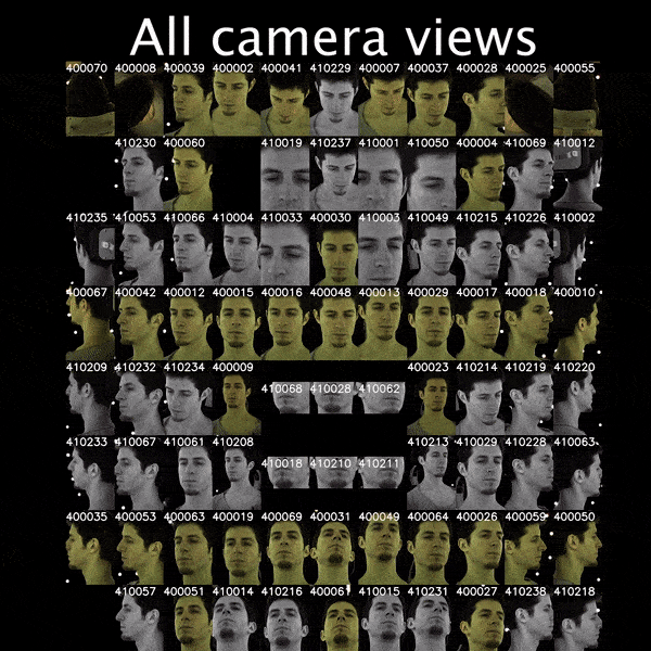 multiface screenshot 1
